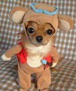 Андрей Козловский